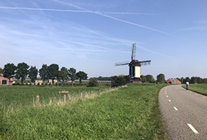 Nuttig gebruik van uw zomerpauze: 5 tips!